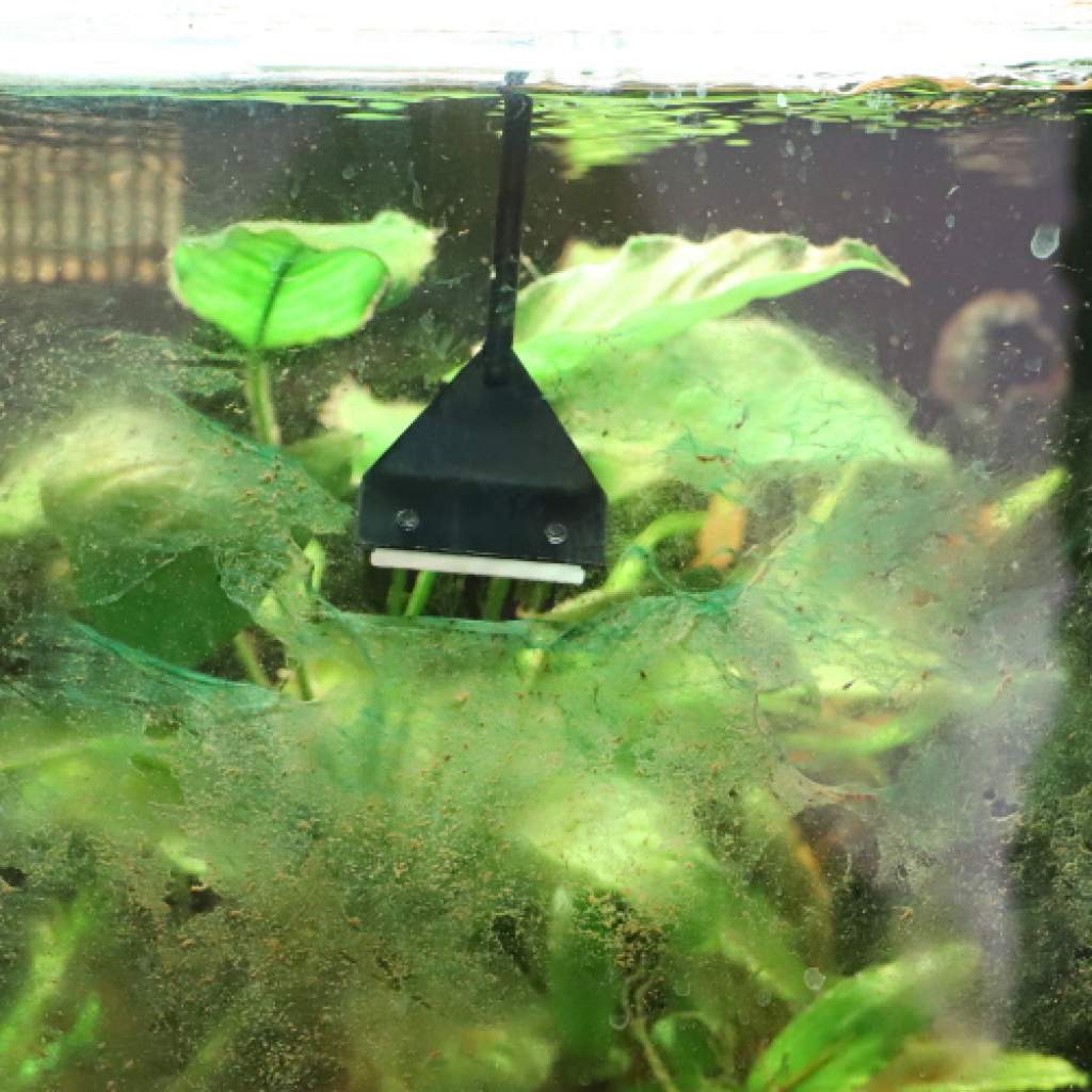 Algae Scraper